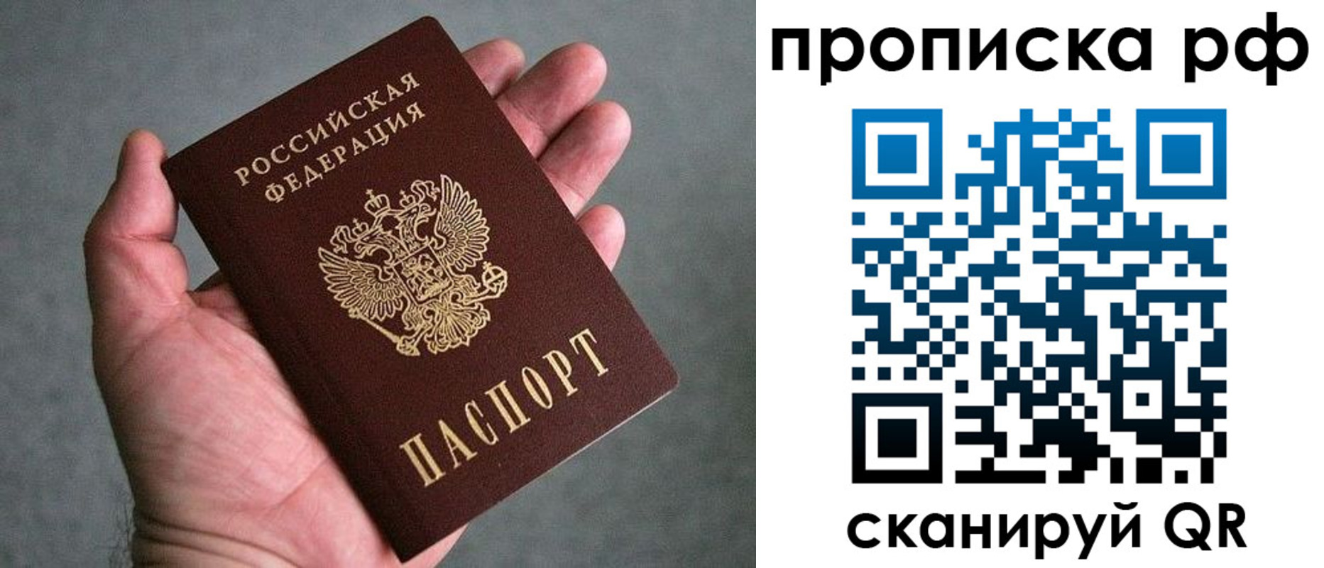 прописка поиск в Вязниках